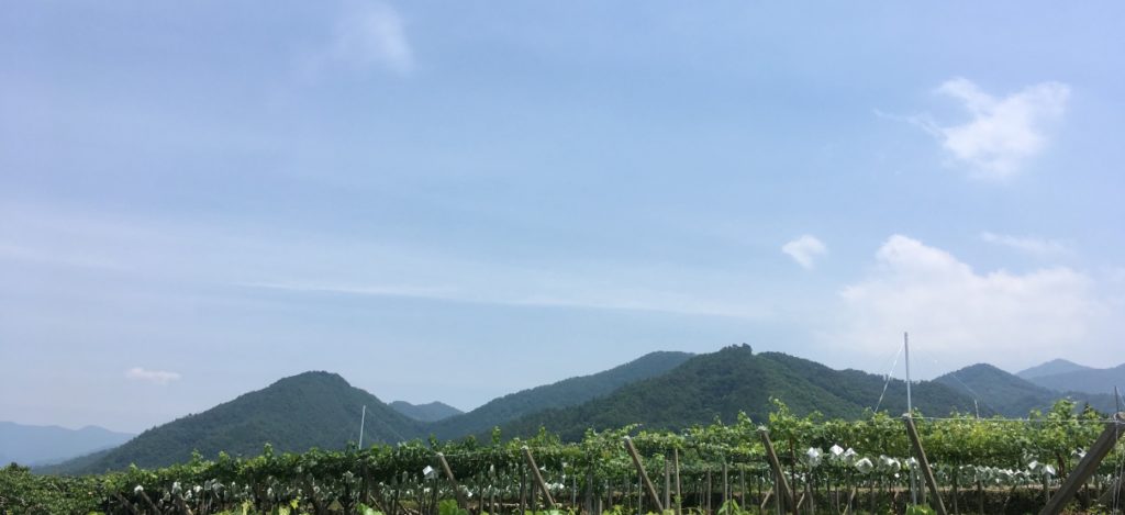 山梨県　山