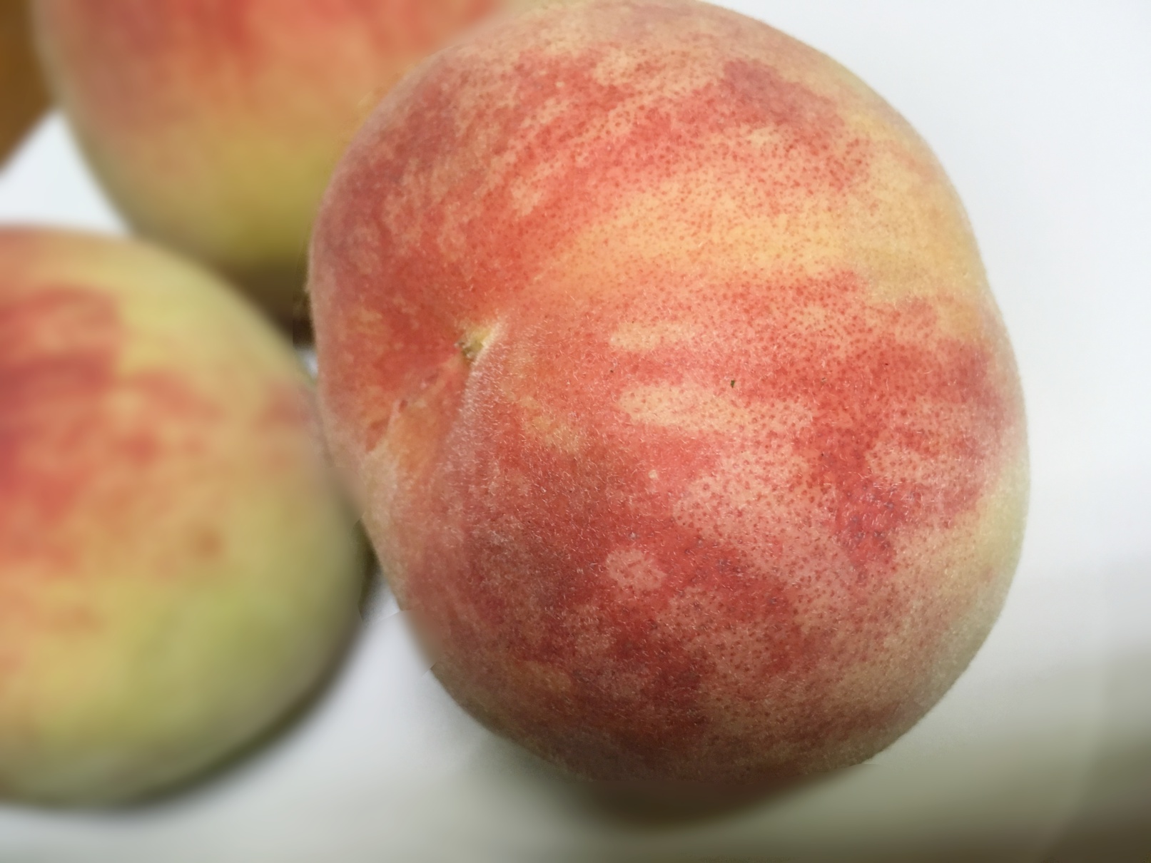 桃　peach