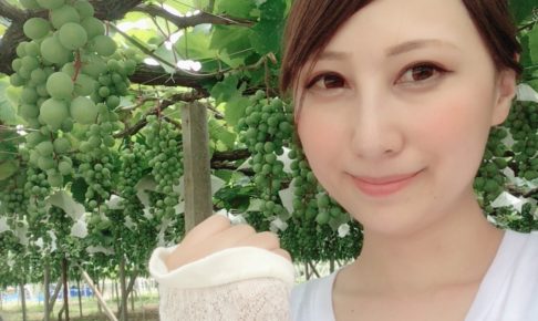 山梨県　ぶどう畑