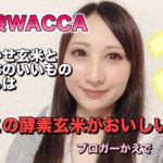 池袋　WACCA　寝かせ玄米おむすび　酵素玄米