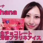 ガーナ　生チョコレート　芳醇プラリネアイス